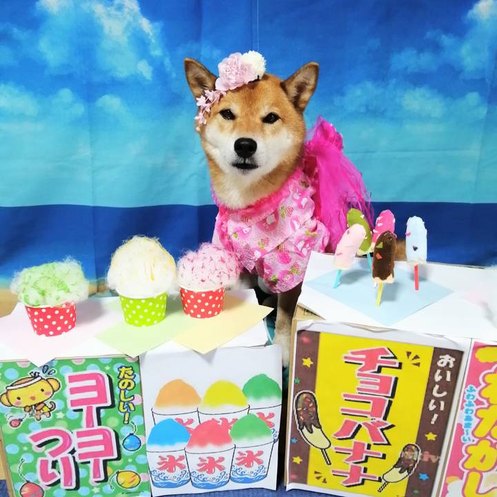 C21bed21 3443 4bc2 8c38 586b9a1893ee 1597308024577