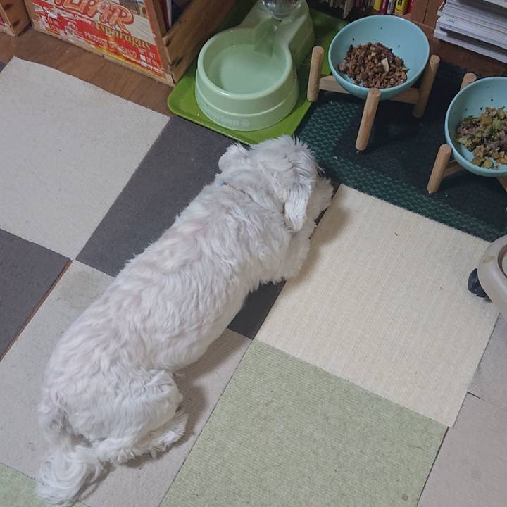 C21c3d35 ac1b 479b ae29 61794287a9fb 1665488402748