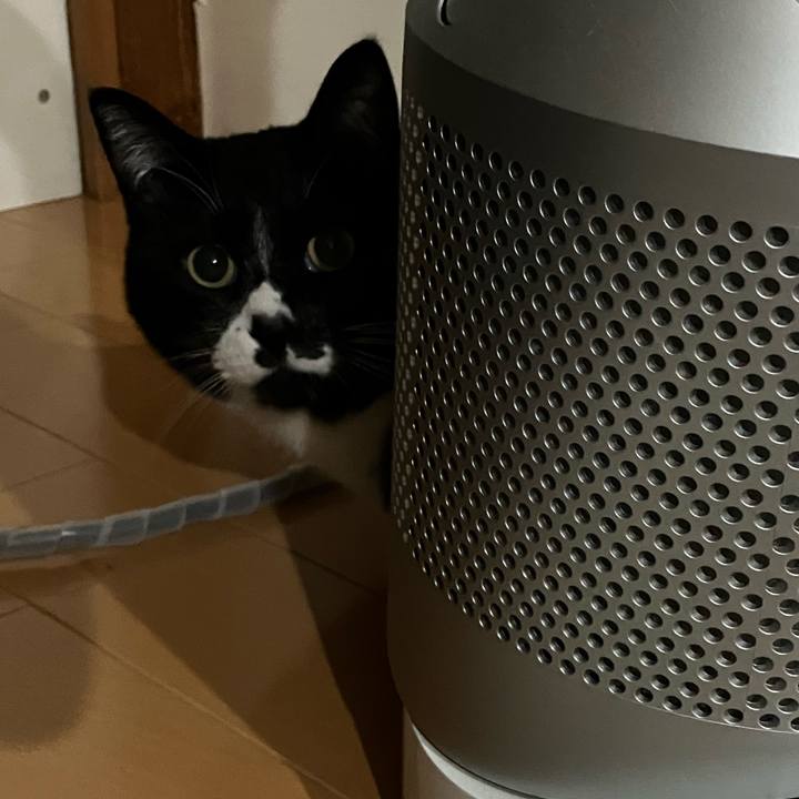 C21c50fb e9a1 4975 9c2f 858cc4cddcfe 1683603173422