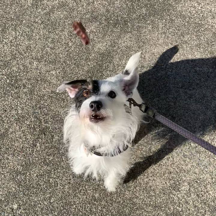 C21cae62 32e8 4fab a696 0c381d415942 1698019337701