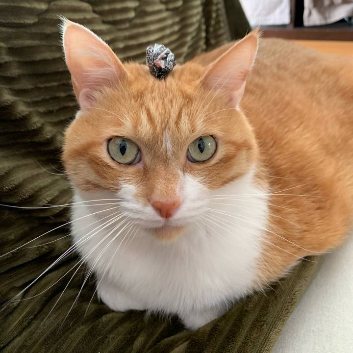 C21cea4f 1c98 408a 9825 8bc1e5c9ce31 1679482107314