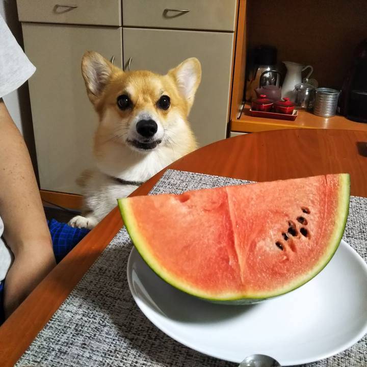 C21ceac4 aa7d 4379 9db4 20c0d62e2369 1564807702650