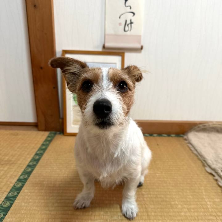 C21cf80d 0713 4491 a8e6 f625d5cc0c29 1764282323007