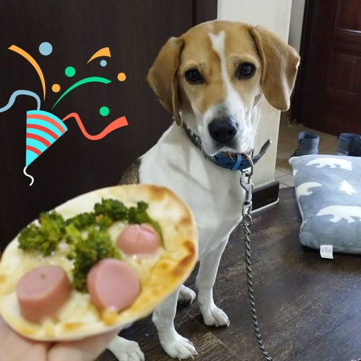 C21d1013 5196 4e30 86b2 b0a98410a064 1611814430102