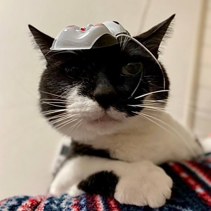 C21d2740 9f91 4c5f 935a 6dbde0c90499 1643943820882