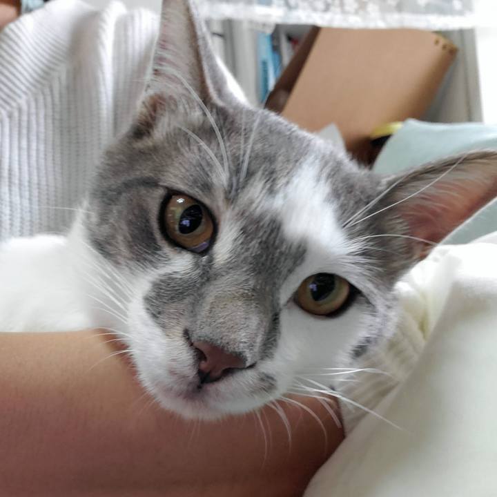 C21d33fd 92b6 47ed 9278 5c842294317c 1688196092980