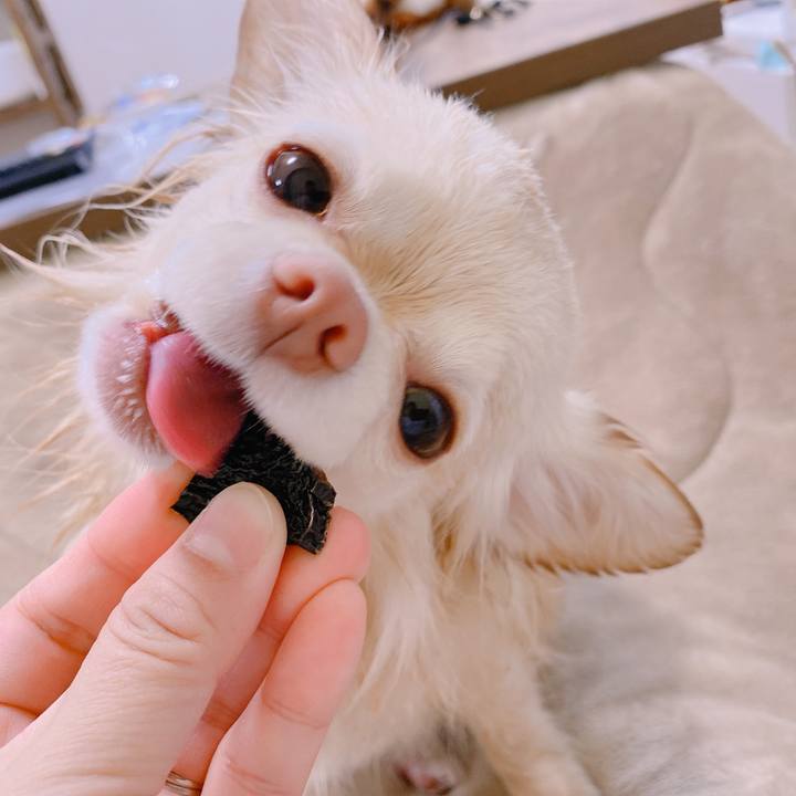 C21d6733 d46b 4dd6 8e8a 2564cff34219 1644725686477