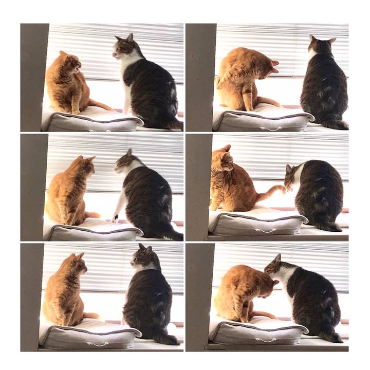 C21d89d9 f37e 4973 896e 72404daa3561 1600482559073