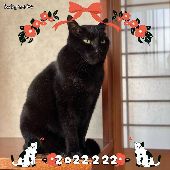 C21d944a d0b7 4aa9 93d6 c33d682830df 1645495330017