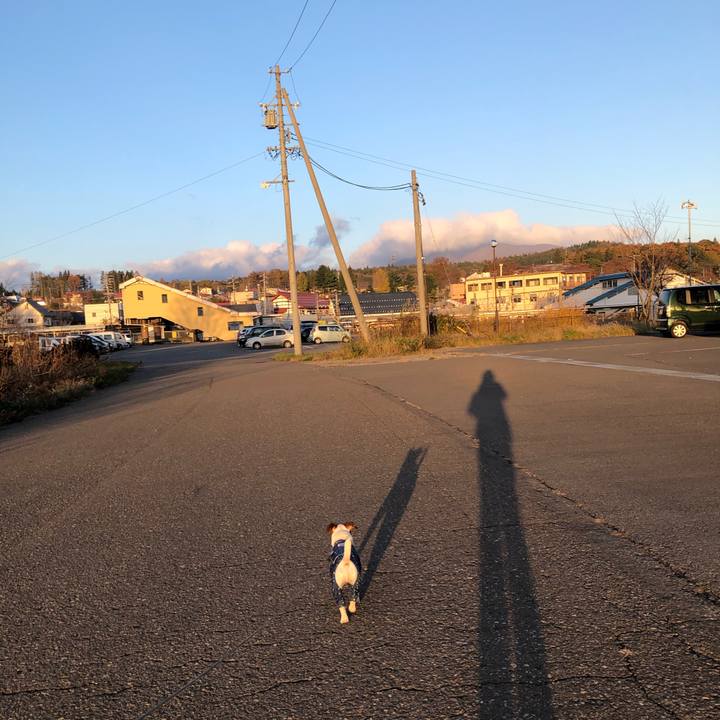 C21d98fd f1ce 4bd4 827f 6ec06a13c3f5 1573549695009