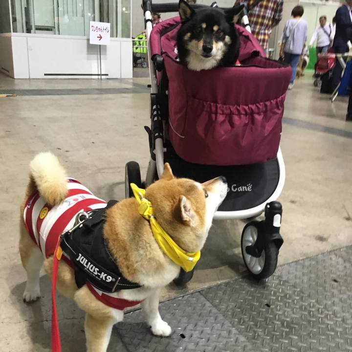 C21d9e51 fa3d 4146 92da c49eb67b5292 1556870263041