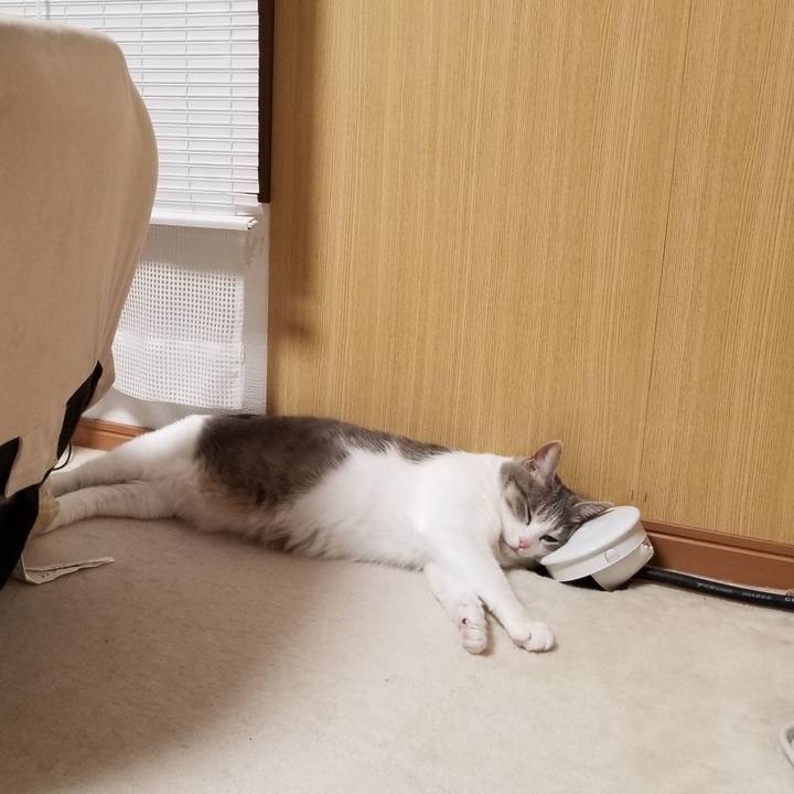 C21dcff6 8c5d 4804 88e7 d451399398a2 1643633347798