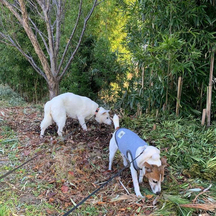 C21df273 761b 45a7 8306 528a6d4683eb 1580604264957