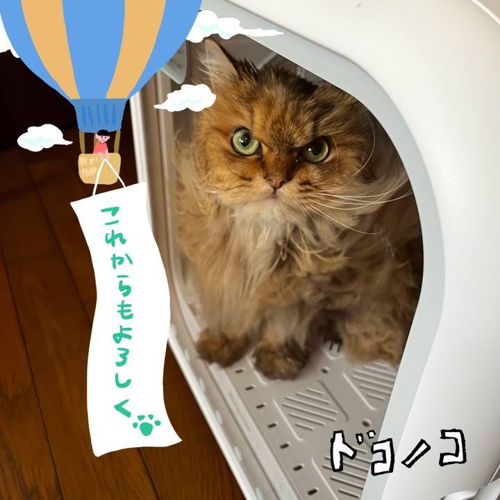 C21e706c 5aa0 4c65 a811 73d0ed88bfc4 1685961712177