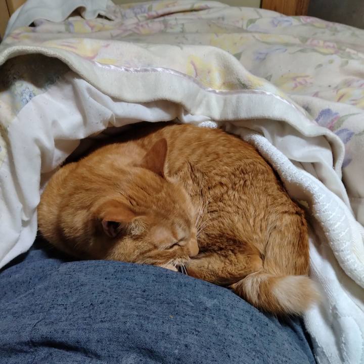 C21e7db6 0fff 48ad b187 2ea87a443f60 1698148318205