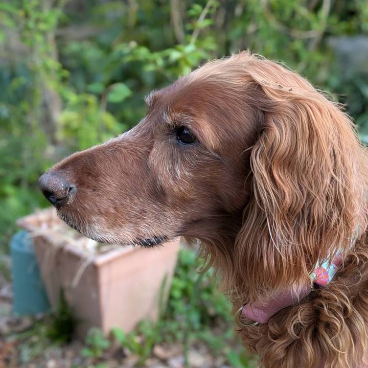 C21e8244 70c7 487b ad3c 5a3dc83b577a 1776552643142