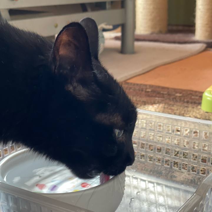 C21eac51 a9b7 4a8f 85cb 1936c4aa6e4a 1662342756682