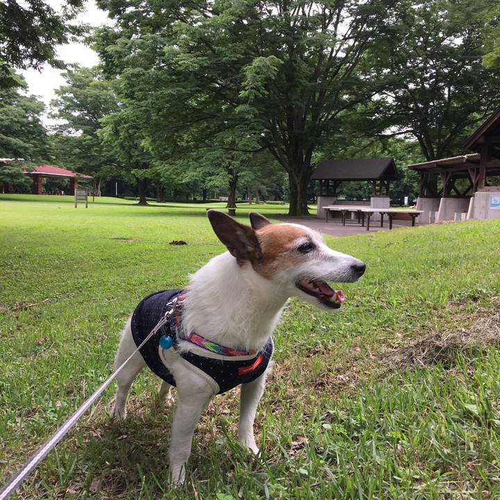 C21ec409 089e 4dc1 80d6 d867122d4ccc 1654993234680