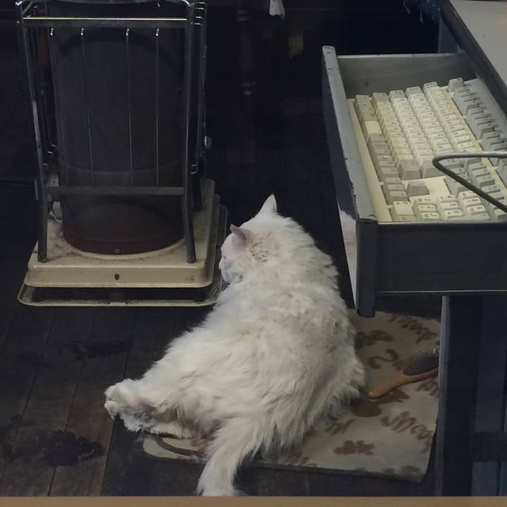 C21ed7e0 ac8c 487c 986e 65d5d48967af 1517869629339