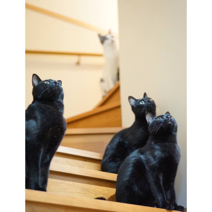 C21ed859 9ca6 432c 8a8a 7295c0b46bfb 1553557380403