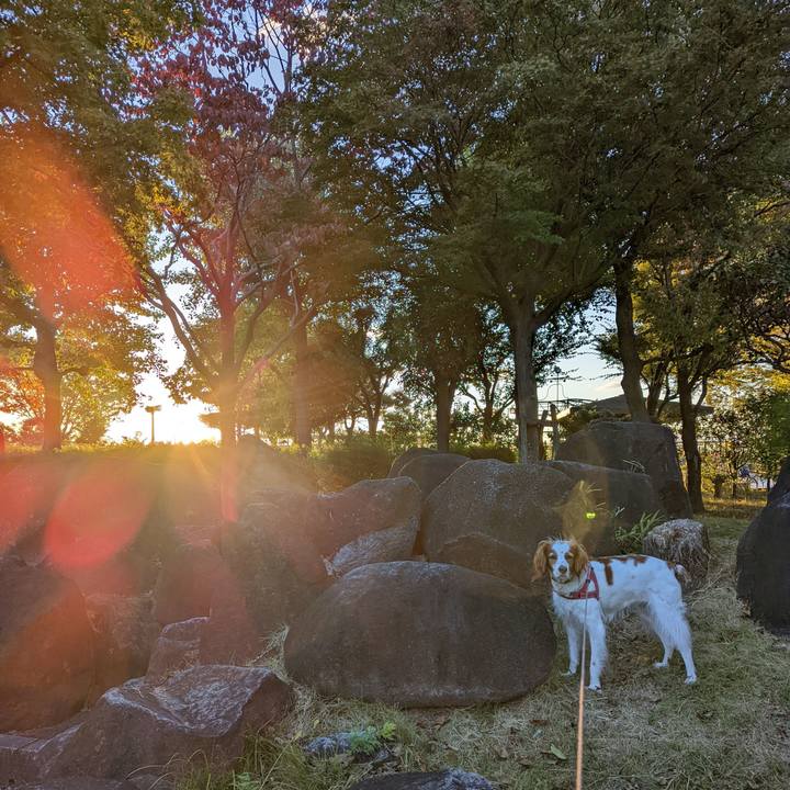 C21f07cb bb90 4ba9 9908 204776479f0d 1635497166352