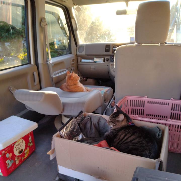 C21f3036 5b47 48f4 bfd2 debe18fc1adb 1697274106612