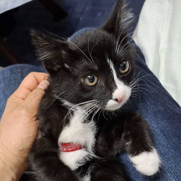 C21f3685 e665 4b25 9576 6598c49a4c77 1749803987777