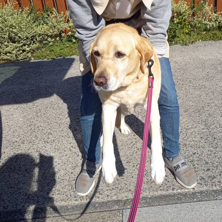 C21f3da9 35c7 4e8c 9c26 2b7bf5c46fd7 1605245293827