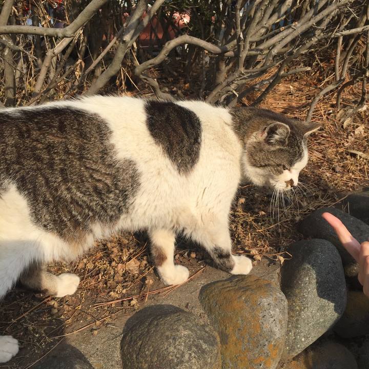 C21f460d 2941 4cab bed9 d2b8f100b7c9 1524393294498