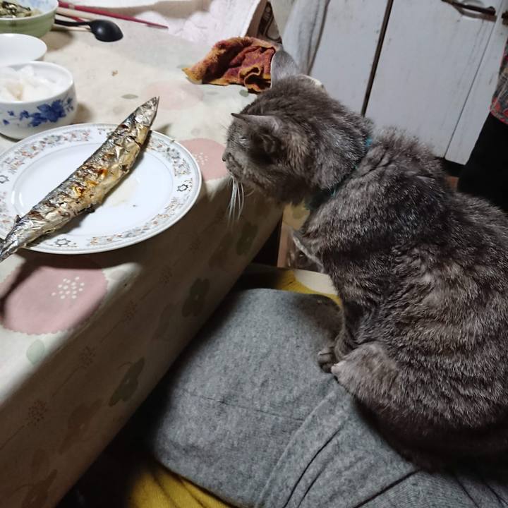 C21f50ec 3182 461c 86e6 771cefc8960d 1603540096288