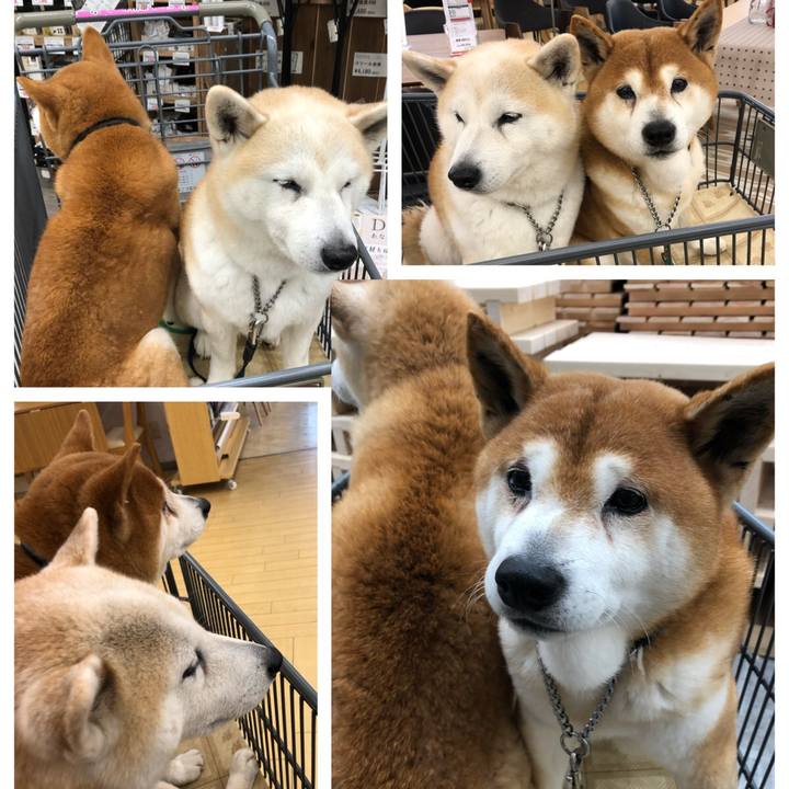 C21f5ea6 8520 4da2 9537 e327536c3f3e 1553141884746