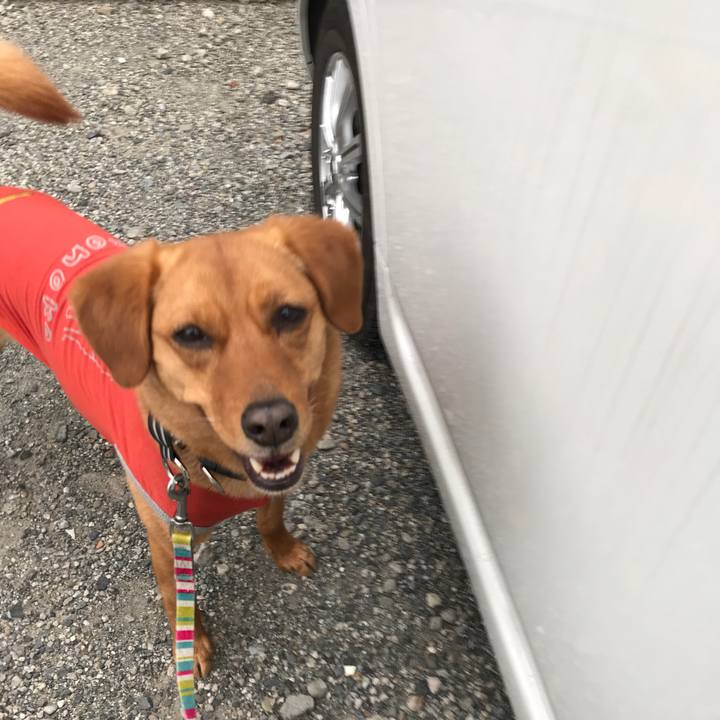 C21f9a67 69b4 446b a3a3 f87ed78ec89d 1554344605607