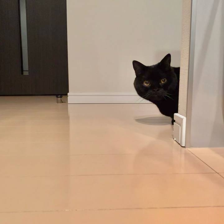 C21fe8af c047 4601 b677 3d72b3cf14ac 1738838476007