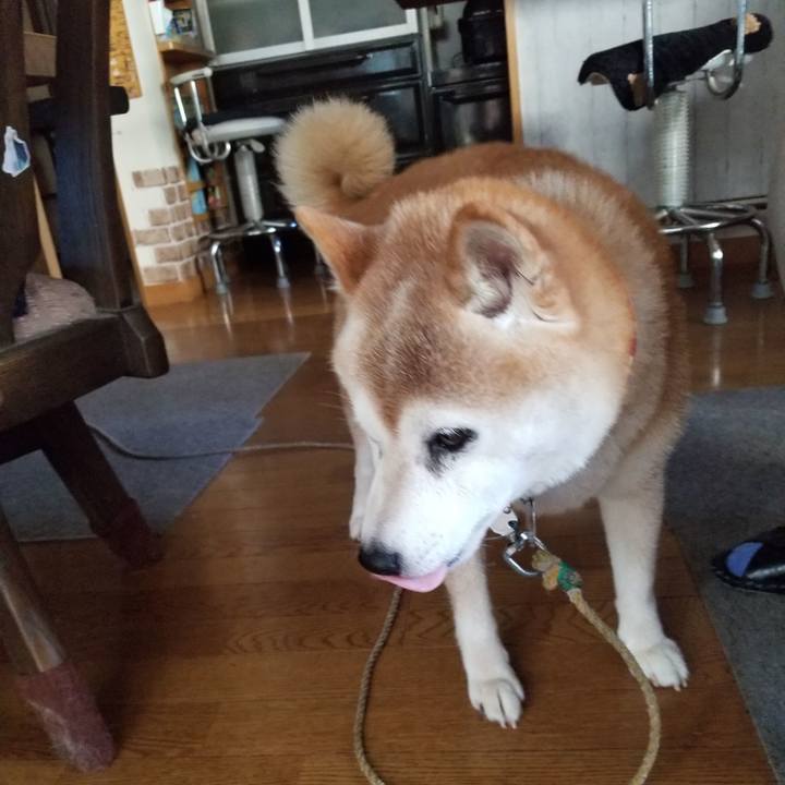 C22010c5 7eb3 44c3 8650 e9378b6f104e 1723879343332