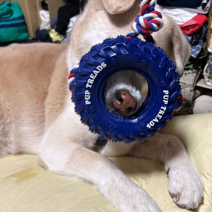 C2202692 645e 4410 b52a d93b58c5794d 1730122259689