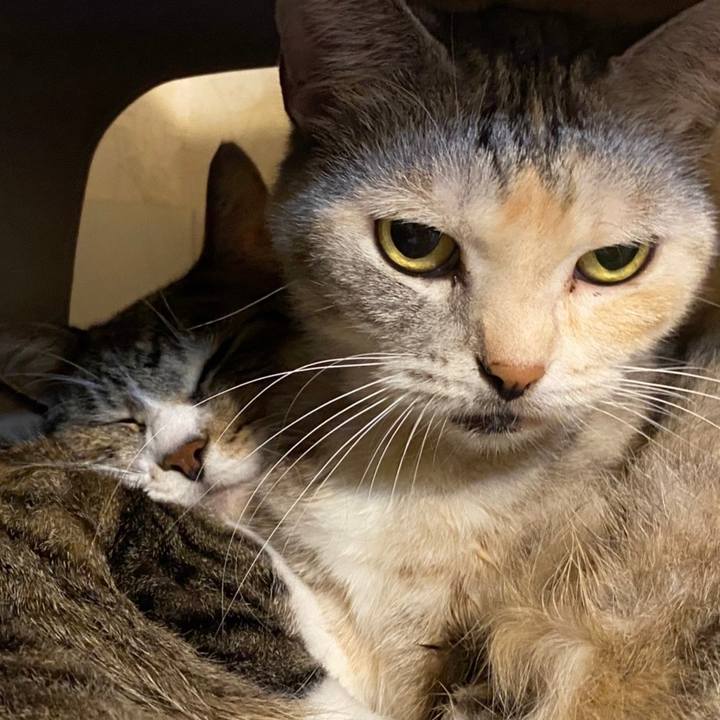 C220451e 5058 4c21 9b4c 0ad2b85c747f 1634035371549