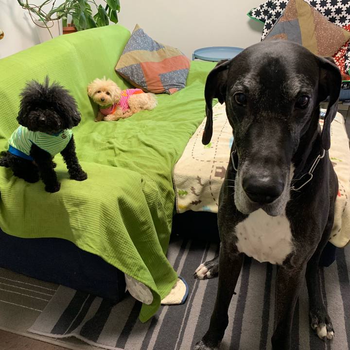 C220627a 758b 429a a0cb d8da0778fad3 1557786539236