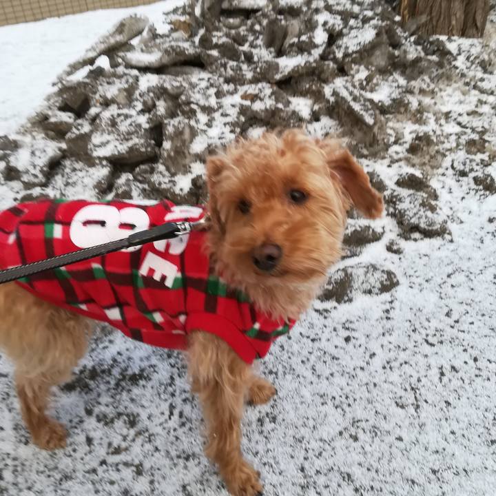 C2208c99 ae59 4ff6 92d5 6d2700310dd4 1552037550996