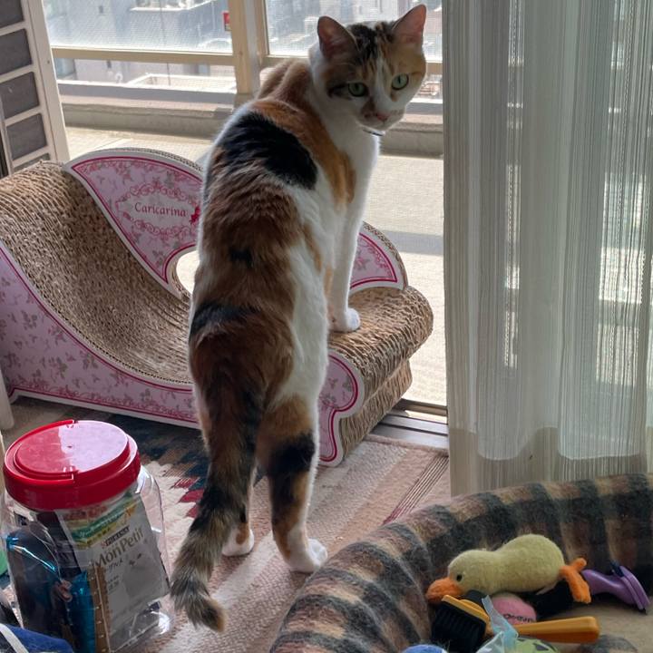 C220b510 c85c 4f16 9ed1 d56c39789c50 1714798541253