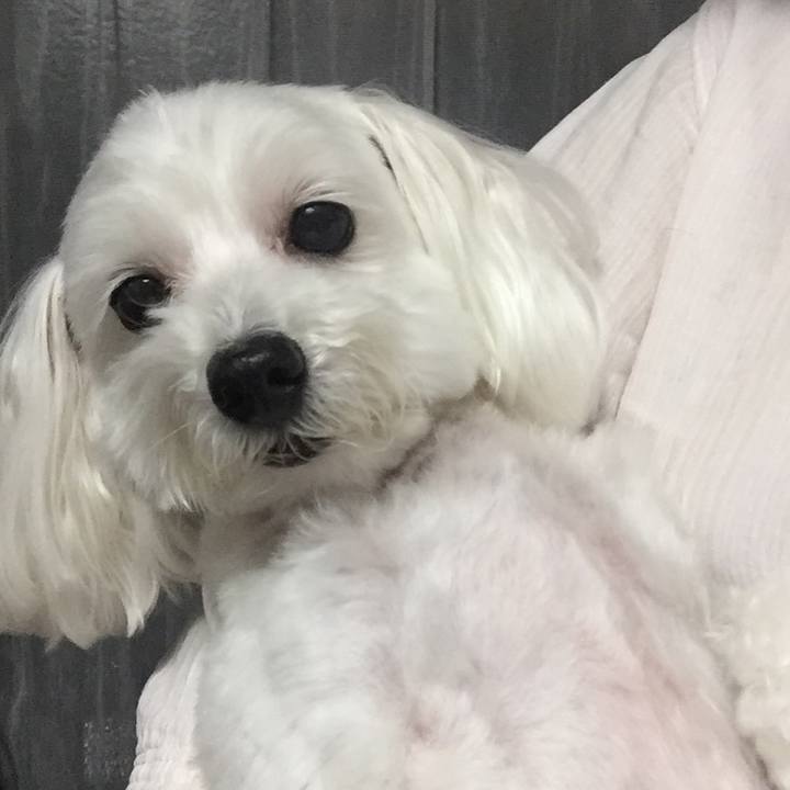 C220bc18 e698 4615 96fb bcd956f93777 1569501181710