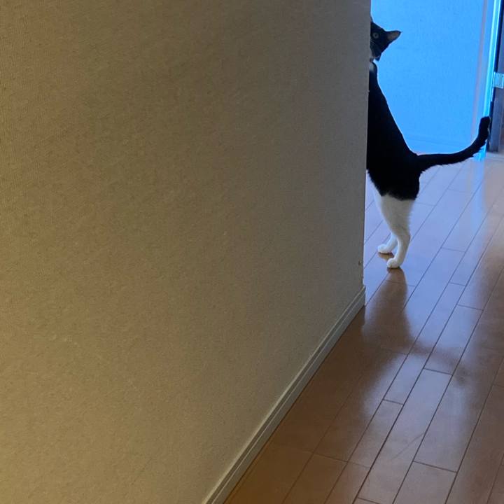 C220c9d1 c07b 4d33 997a bb87fb20e50b 1612667701917