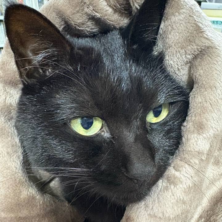 C220cd18 4059 40dd b5b5 9675d1ae993d 1764763241217