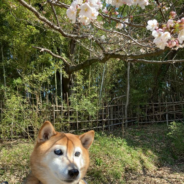 C2216936 164a 4164 b385 103932d0463c 1679283216954