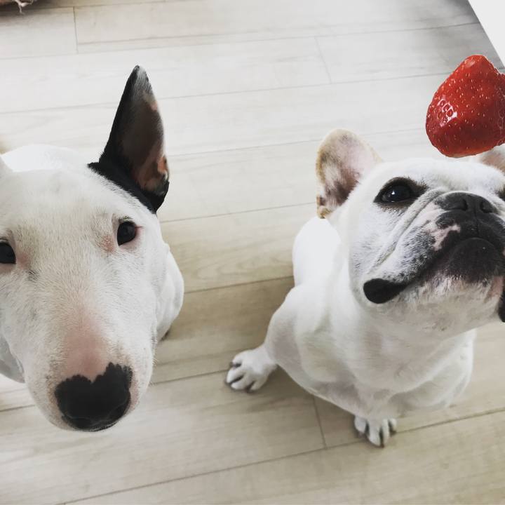 C2218ccf e0ea 4d2a af62 aa1a9d0ace27 1517283221954