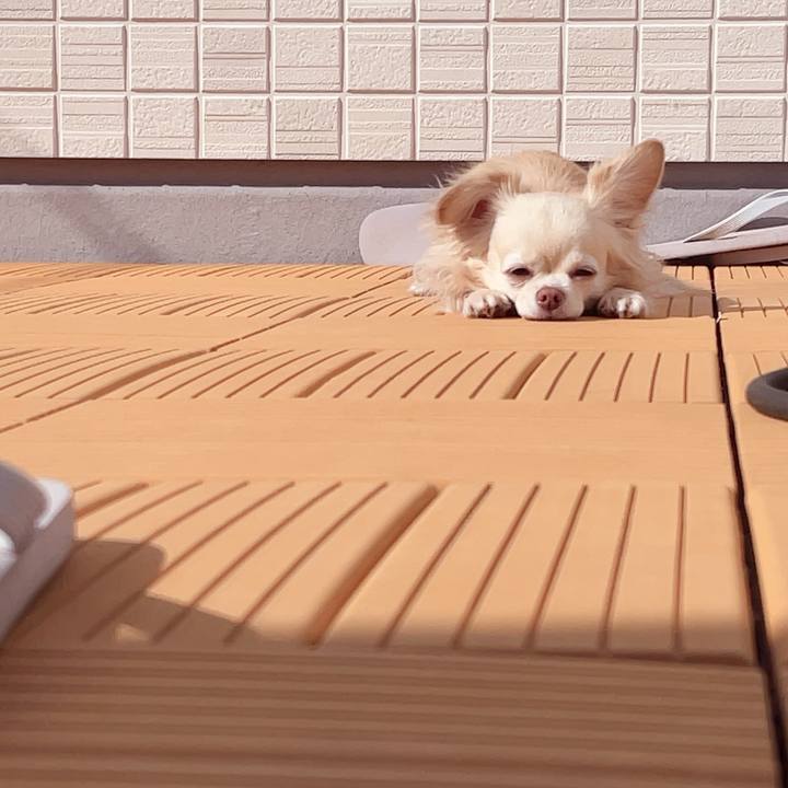 C22197e8 1cb0 4c08 9c59 057d5e02595d 1742462324503