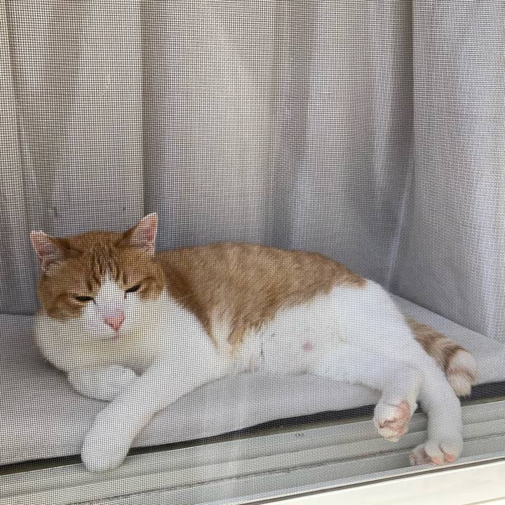 C2219e58 9bdf 4514 bead 56f9a995088b 1755821865961