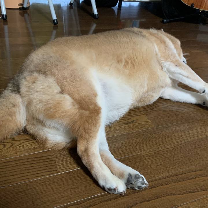 C2219f0a 8f0c 4c00 89e9 1d9785c918b5 1580032280569