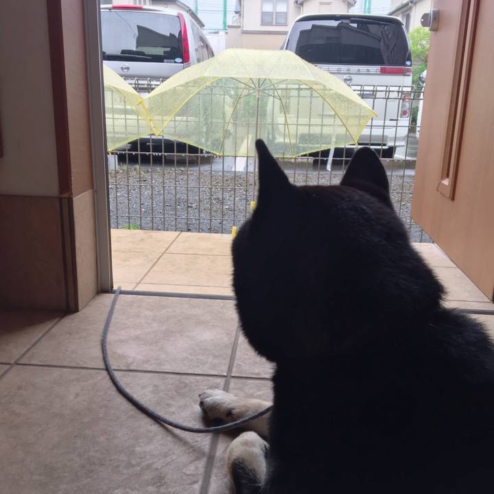 C2219fae 1c4f 433f 8523 61cc8b918be0 1559874647056