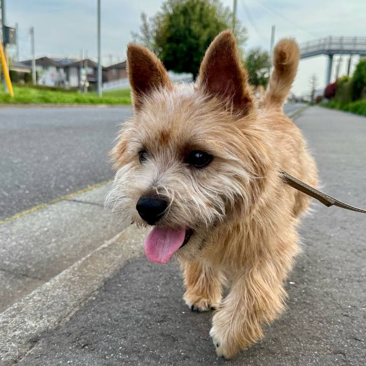 C221a0fe 92e5 42a4 b82f e880a373504b 1713214298340