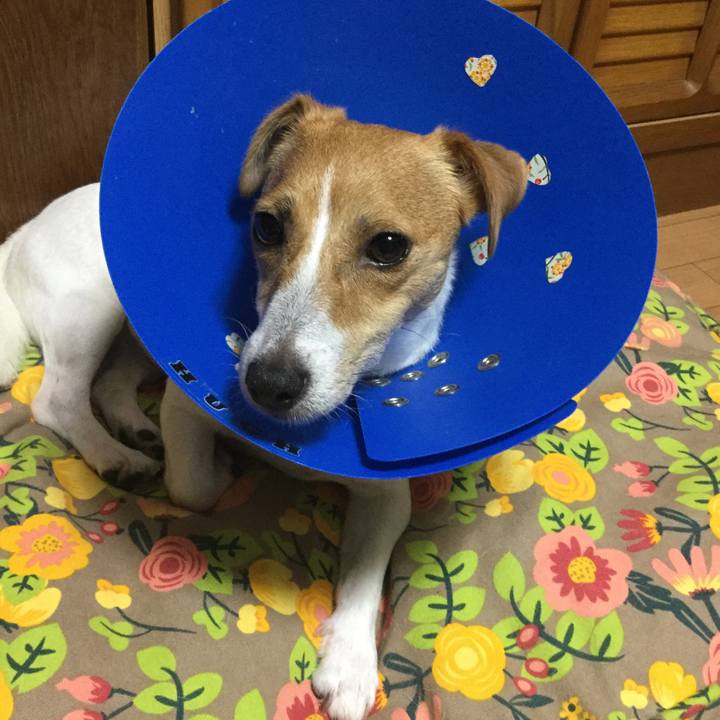 C221b597 8434 4733 9933 605dd106ae75 1536236847454